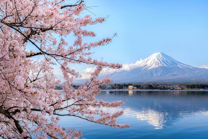 Protein-Packed Snacking: How to Stay Energized Through a Busy Day