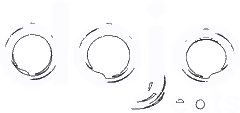 Dojo Protein Bars