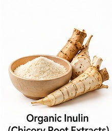  Chicory Root Extract