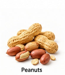 Roasted Peanuts